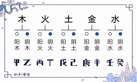 甲木癸水|八字十天干詳解——甲木